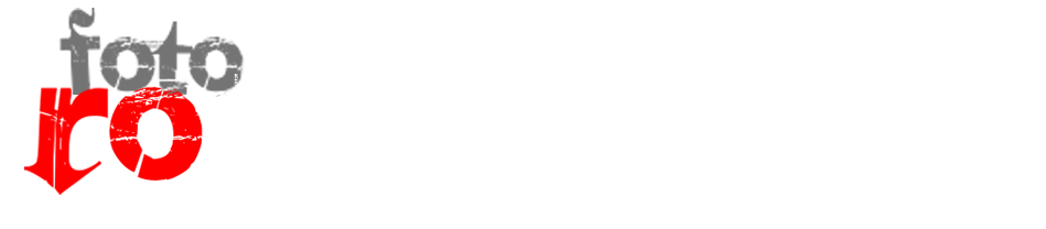 Logo firmy